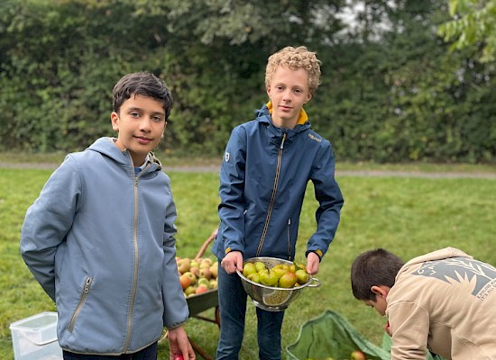 Von unserer Streuobstwiese