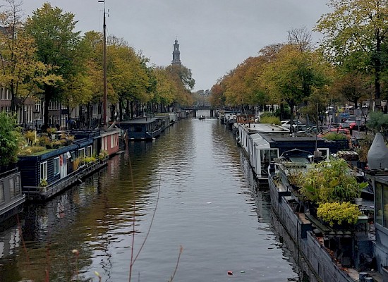 Komm, wir fahren nach.....