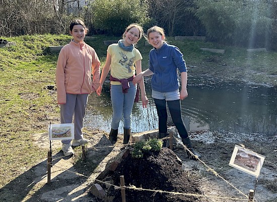 Aktiv im Schulgarten