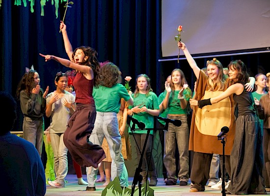 Das Dschungelbuch als Musical